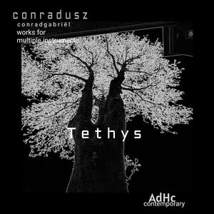 Calliope: Trio for Harp-Guitar-Clarinet