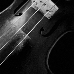 I'm Understand Under The Sun