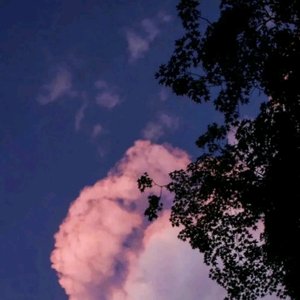 问月亮（电子琴片段）