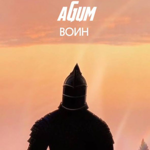 Воин