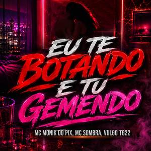 EU TE BOTANDO E TU GEMENDO
