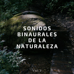 Ondas Cerebrales Binaurales