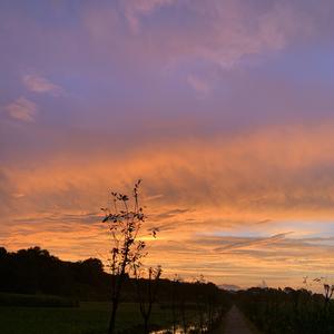 我喜欢午后的秋阳 面向着暖洋洋的阳光...