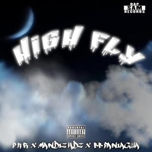 High Fly (feat. MANDIZ HDZ & PKR)