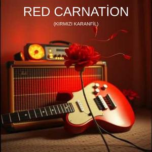 RED CARNATİON (Kırmızı Karanfil)