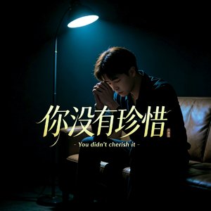 你没有珍惜