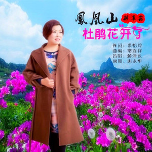 凤凰山杜鹃花开了