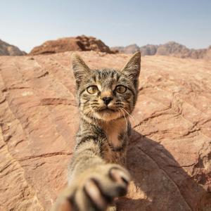 如果这是结局 我宁愿没相遇