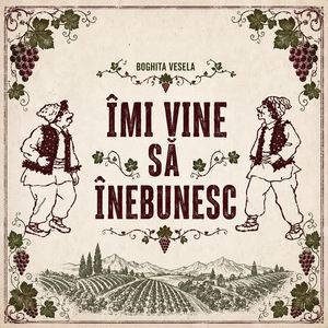 Îmi Vine Să Înebunesc