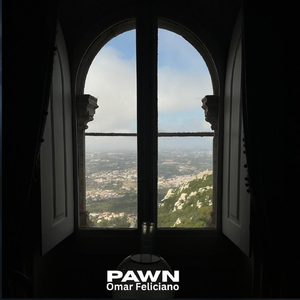 Pawn