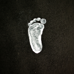Walk Me 2