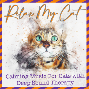 Calming Music for Cats