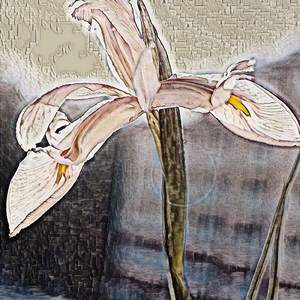 Threadbare