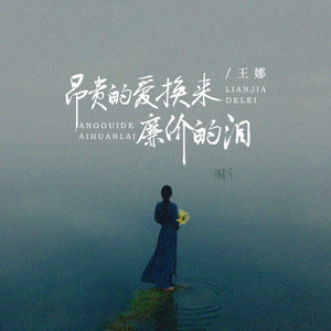 昂贵的爱换来廉价的泪