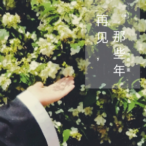 凤凰花开的路口