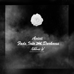 Avicii-Fade Into Darkness（Niklaus.W / Avicii remix）