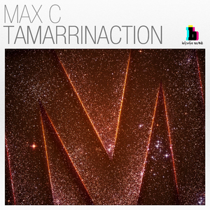 Tamarrinaction (Original Mix)