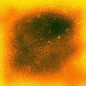 穏やかな雰囲気