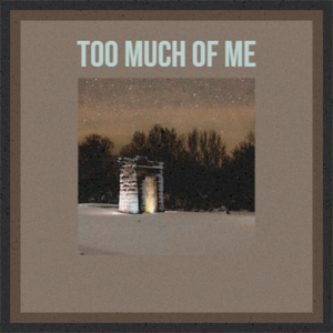 Too Much of Me
