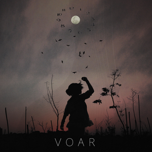Voar