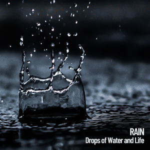 Rain Noise