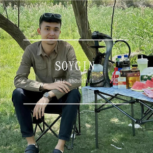 soygin-soygin