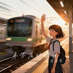 来不及对你说