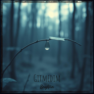 Gitmedim