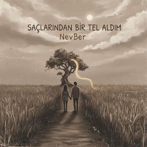 Saçlarından Bir Tel Aldım