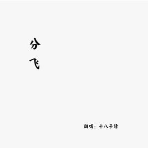 分飞