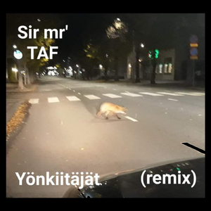Yönkiitäjät (remix)