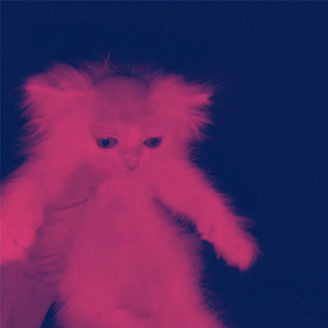 Homenagem aos Gatos Calvos (Entrarão na Minha Casa, Calvarão Meu Gato)