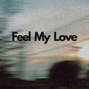 Feel My Love