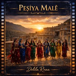 Delila Roza: Peşiya Male