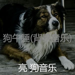 狗(音乐)