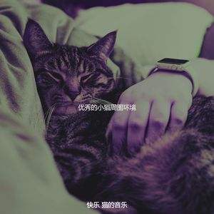 微妙的可爱的猫心情