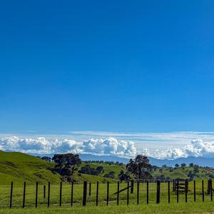 a quiet morning (feat. phenomenon.iv & the delusional soul)