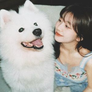 如果爱忘了（emo片段）