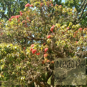 Alkony a Tisza hídján