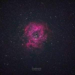 what i said to the lovely girl