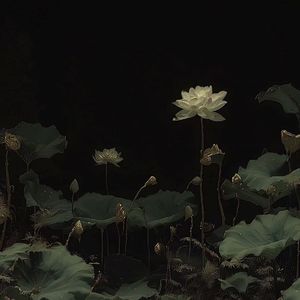 冰心火心（Prod by suukooooo）