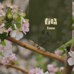 春晓