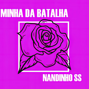 Minha da batalha