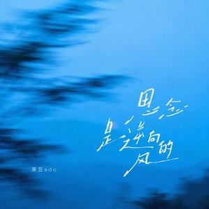 思念是逆向的风 (DJ弹鼓0.9x)