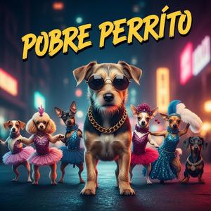 Pobre perrito