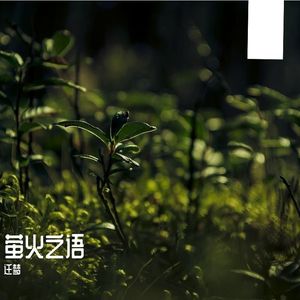 萤火之语（《黑白》专辑曲目）