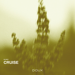 Cruise