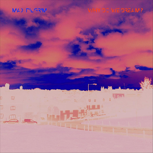 Why Do We Dream?