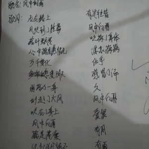 风中的雨