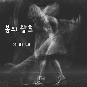 봄의 왈츠